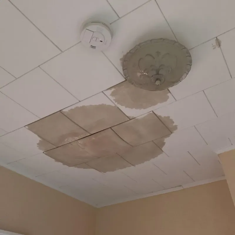 Ceiling Water Damage Repair in University Heights, OH