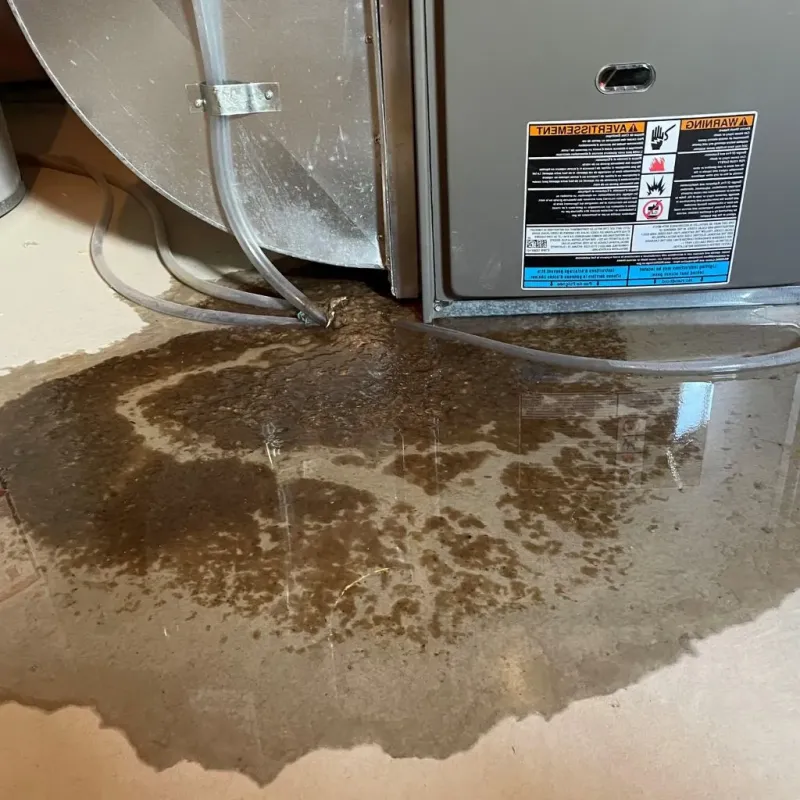 Pipe Burst and Leak Restoration in University Heights, OH